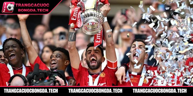 Cấu trúc của giải đấu không quá phức tạp