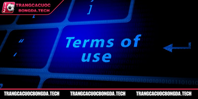 Bảng tóm tắt nội dung điều khoản giúp người dùng dễ nắm và tuân thủ hơn