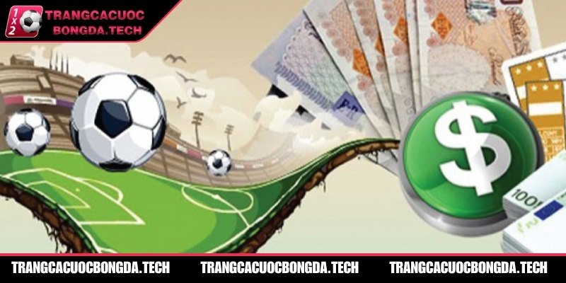 Giới thiệu website cập nhật bóng đá nhanh, chuẩn, giàu nội dung chuyên sâu