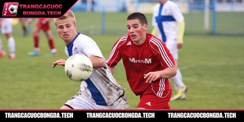 Nhà cái đều có nhận định trước trận từ các chuyên gia