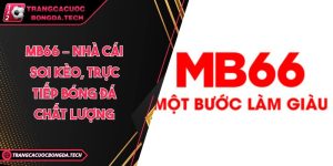 MB66 – Nhà cái soi kèo, trực tiếp bóng đá chất lượng