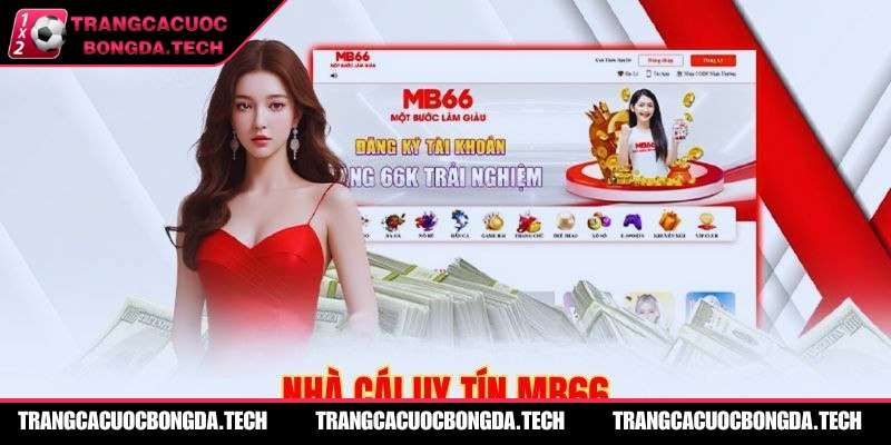 MB66 là điểm đến tin cậy cho cộng đồng yêu bóng đá tại Việt Nam