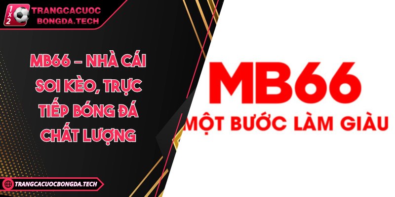 MB66 – Nhà cái soi kèo, trực tiếp bóng đá chất lượng