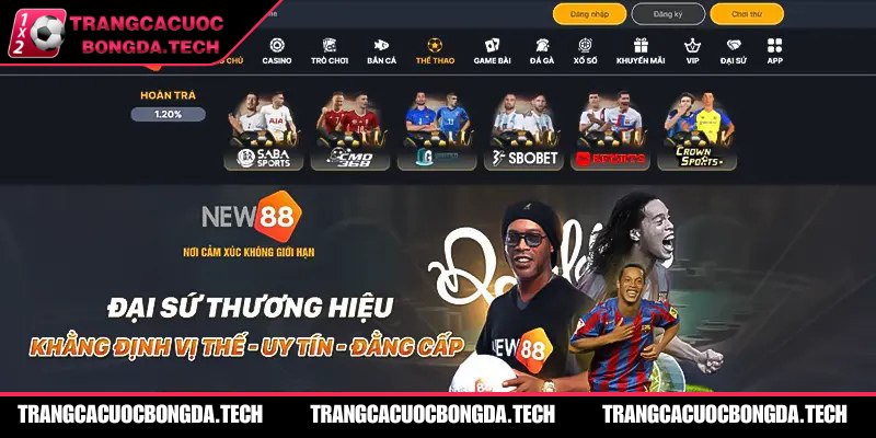 Những lý do mà New88 được quan tâm