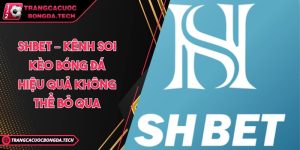 Shbet – Kênh soi kèo bóng đá hiệu quả không thể bỏ qua