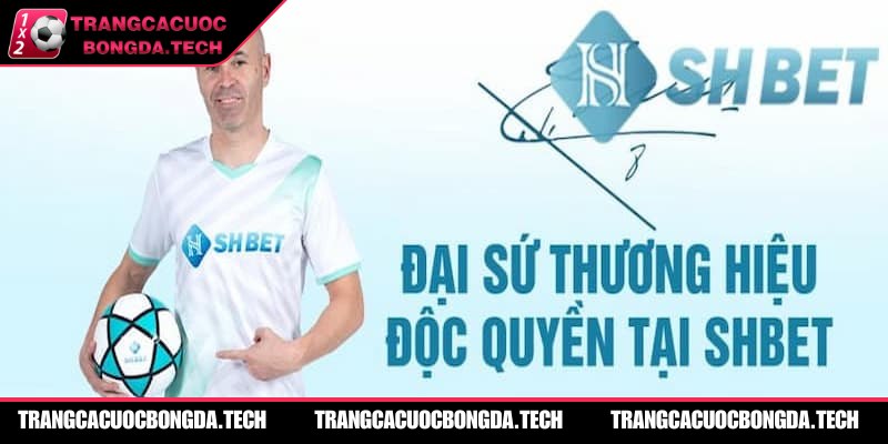 Những lý do nên chọn ngay trang thông tin này