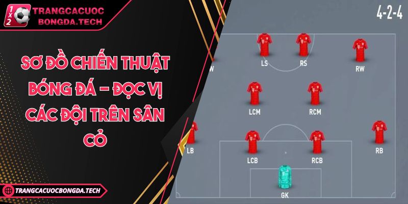 Sơ Đồ Chiến Thuật Bóng Đá - Đọc Vị Các Đội Trên Sân Cỏ