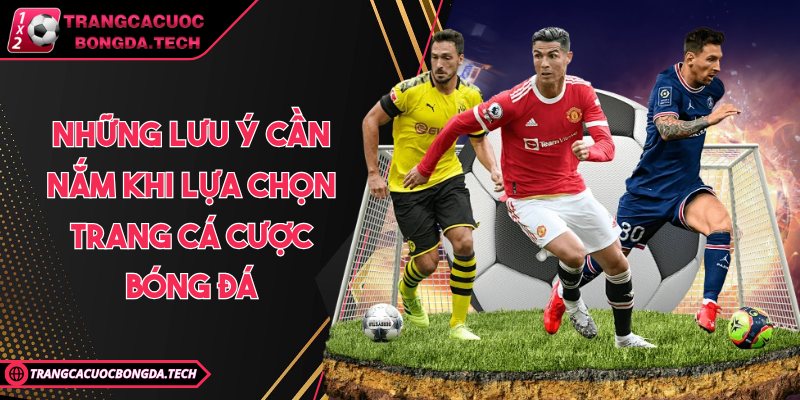 Những lưu ý cần nắm khi lựa chọn trang cá cược bóng đá