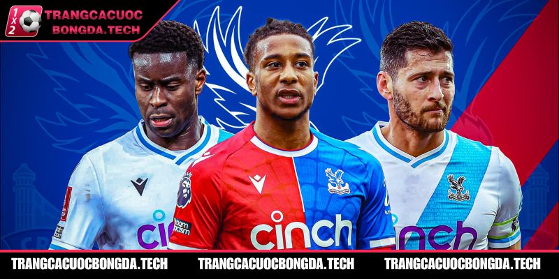 Tổng quan 5 mùa thi đấu gần nhất của Crystal Palace