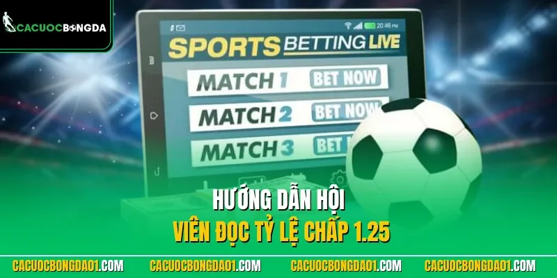 Hướng dẫn hội viên đọc tỷ lệ kèo chấp 1.25