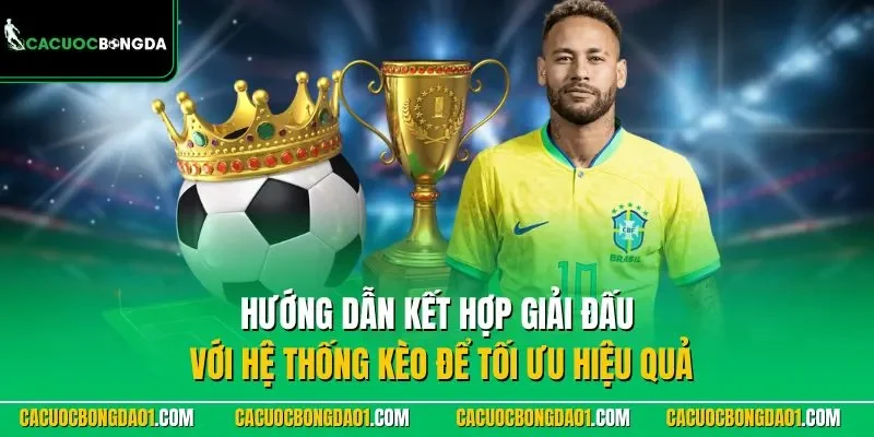 Hướng dẫn kết hợp giải đấu với cá cược bóng đá