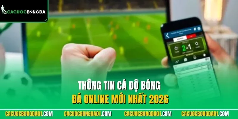 Thông tin cá độ bóng đá online mới nhất 2026