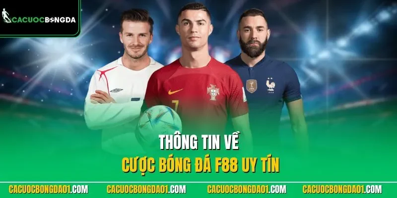 Thông tin về cá độ bóng đá F88 uy tín
